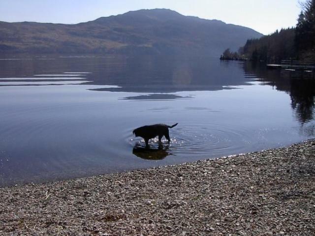 Tigh Na Bruach B&B Invermoriston Eksteriør bilde